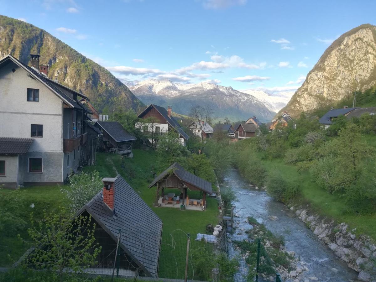 Apartma Pr Pekovcu Bohinj Luaran gambar